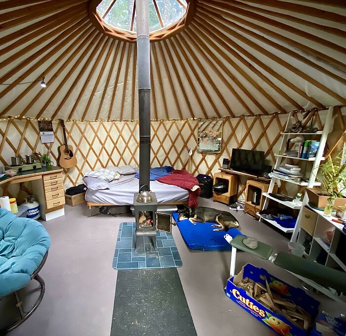 Cozy off-grid cabin interior with wood stove, bed, dog resting, guitar, and organized shelves in a round yurt structure.