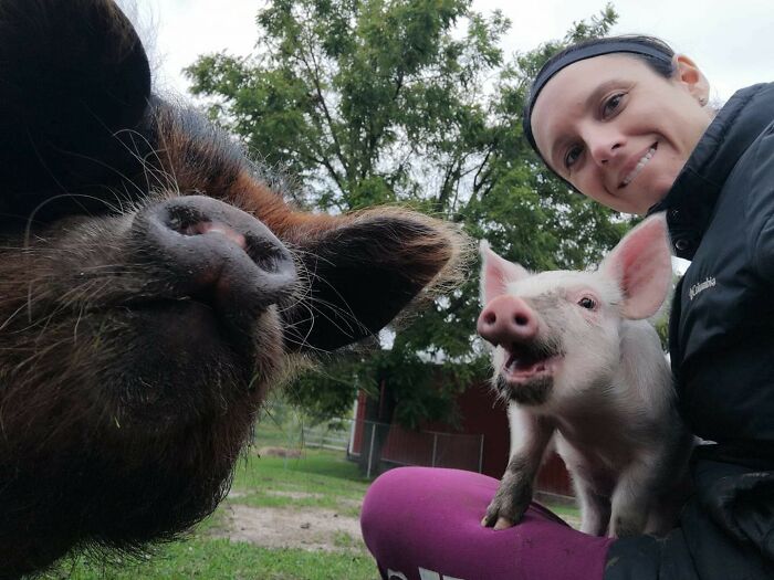 Person smiling outdoors with two pigs posing for a selfie, showcasing animals who can take better selfies than you.