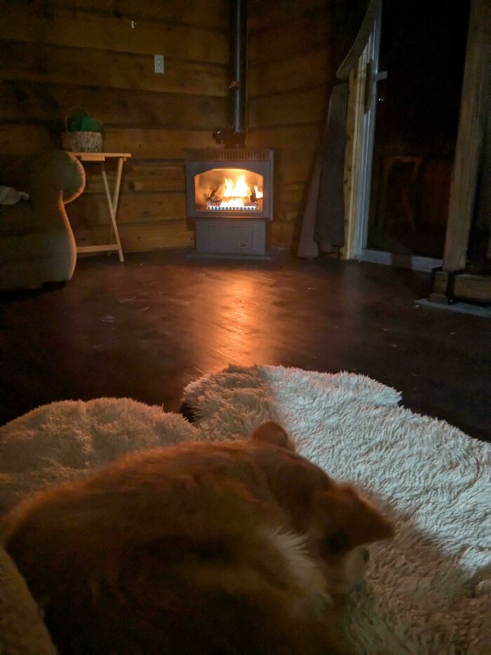 Cozy off-grid cabins interior with a warm wood stove fire and a dog resting on a soft rug by the floor.