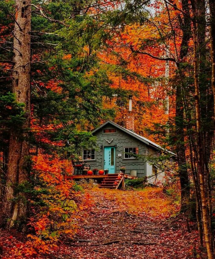 Cozy off-grid cabin with a turquoise door surrounded by vibrant autumn trees in a peaceful forest setting.