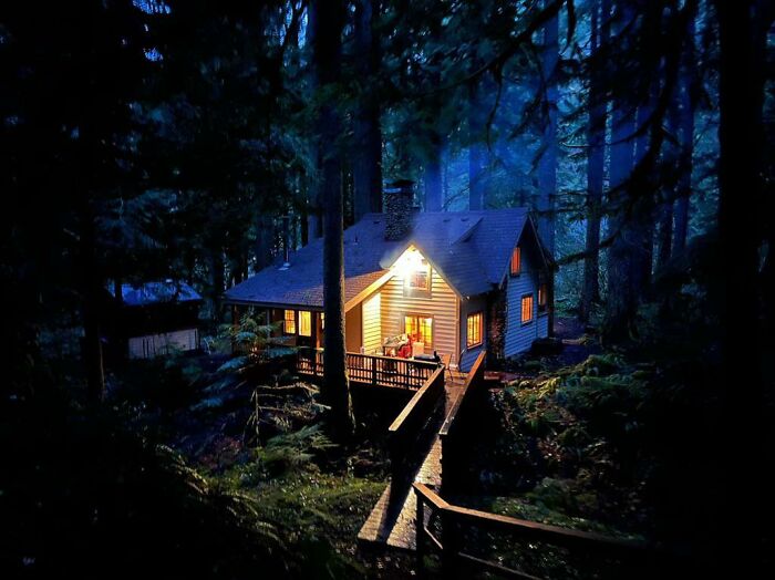 Cozy off-grid cabin lit warmly at night, nestled in dense forest surrounded by tall trees and lush greenery.