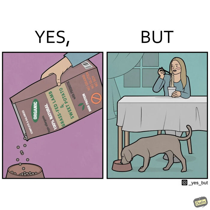 Two-panel comic from Yes, But series showing a person pouring organic dog food while a dog eats as a woman eats noodles nearby.