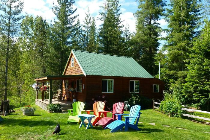 Cozy off-grid cabin with colorful chairs on green lawn surrounded by tall pine trees under a clear sky.