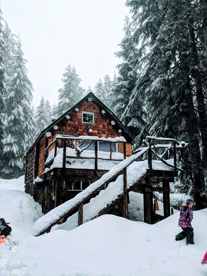 Off-grid cozy cabin covered in snow surrounded by tall pine trees in a peaceful winter forest setting.