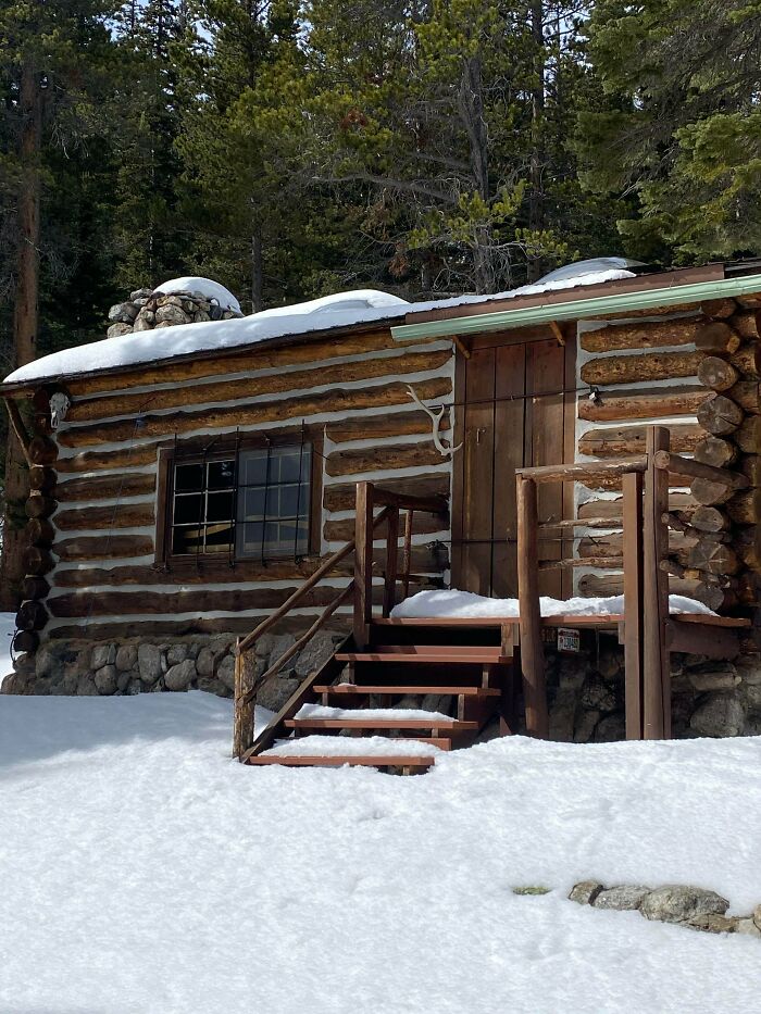 Cozy off-grid cabin in a snowy forest setting with wooden logs and stone foundation surrounded by pine trees.
