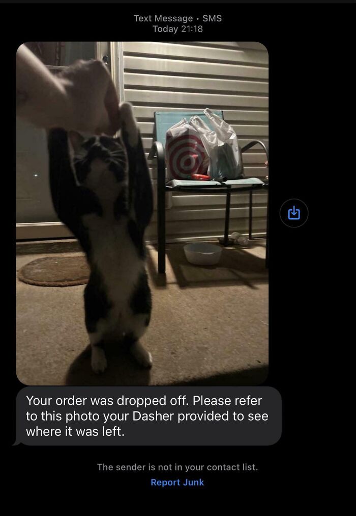 Text message from delivery driver showing a cat holding a hand near a doorstep with food bags nearby at night