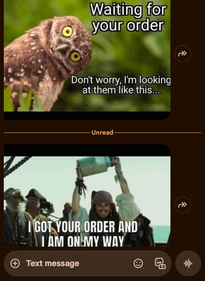 Funny delivery driver messages with owl and pirate memes showing waiting and order on the way for food delivery humor.