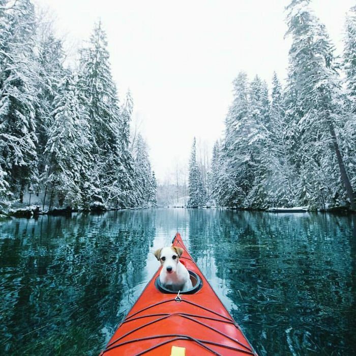 Small dog sitting in a red kayak on a clear river surrounded by snow-covered trees showing a different perspective.