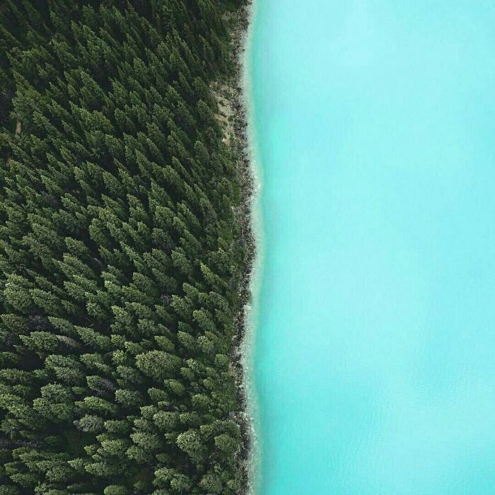 Aerial view of dense green forest meeting bright turquoise water, showcasing our world from a different perspective.