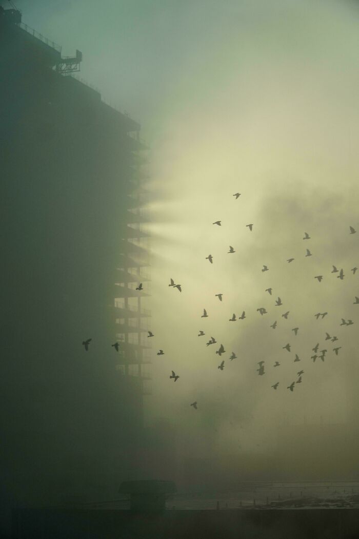 Flock of birds flying near a foggy building with sunlight rays, showing our world from a different perspective.