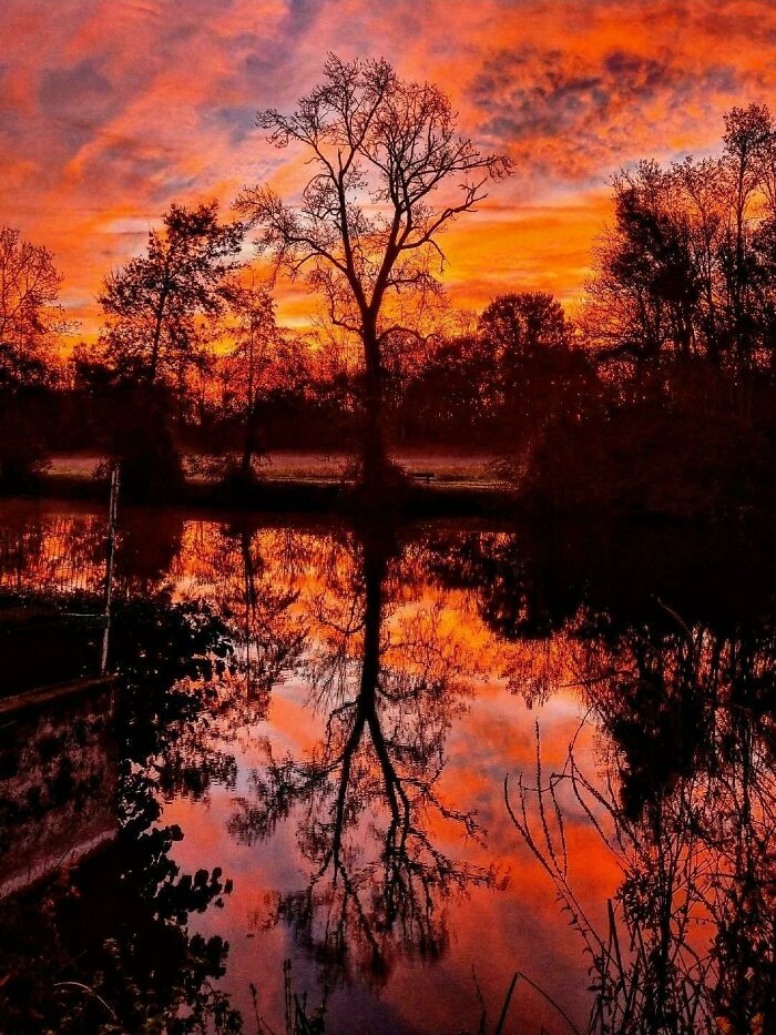Sunset over a calm river with tree silhouettes reflecting, capturing a world from a completely different perspective.