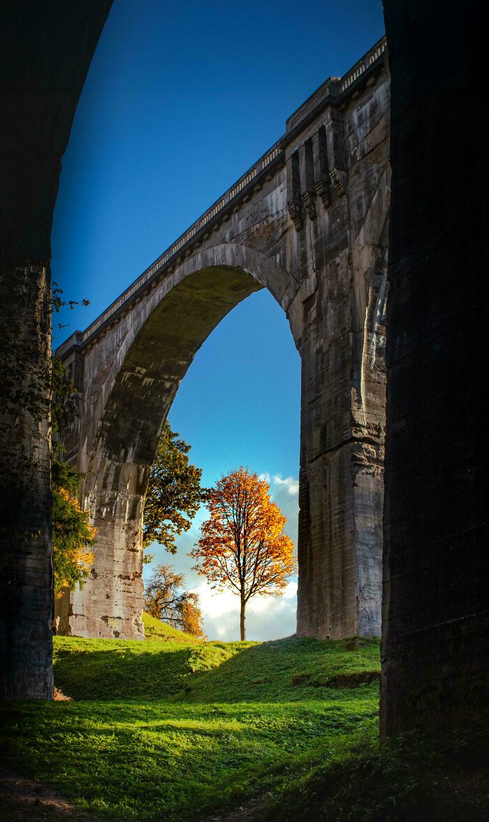 Stone arch bridge framing a vibrant autumn tree with green grass under a clear blue sky, showing our world from a different perspective.
