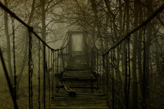 Old broken wooden suspension bridge surrounded by foggy trees, showing our world from a different perspective.