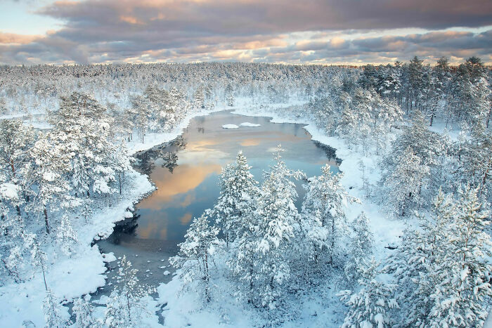 Aerial view of a snowy forest landscape with a partially frozen river, capturing an amazing perspective of our world.