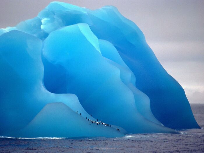 Giant bright blue iceberg with penguins resting on it, showcasing amazing pics of our world from a different perspective.