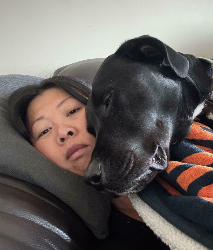 Person lying on couch with head resting on pillow and large black dog cuddling closely, showing lack of personal space with pet.
