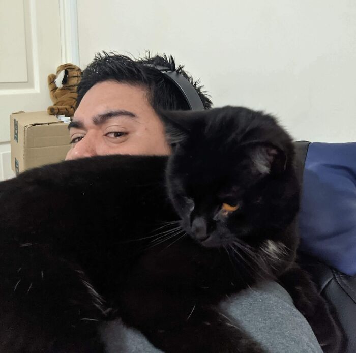 Man wearing headphones with a black cat resting on his shoulder, showing a humorous loss of personal space with pets.