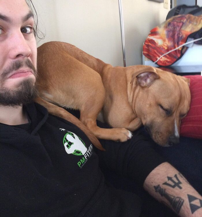 Man with tattoos and a dog lying on his chest, showing how pets take over personal space at home.