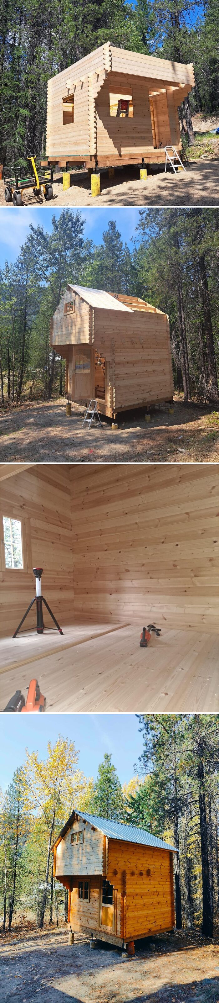 Cozy off-grid cabin in forest setting under construction with wooden interior and metal roof surrounded by trees.