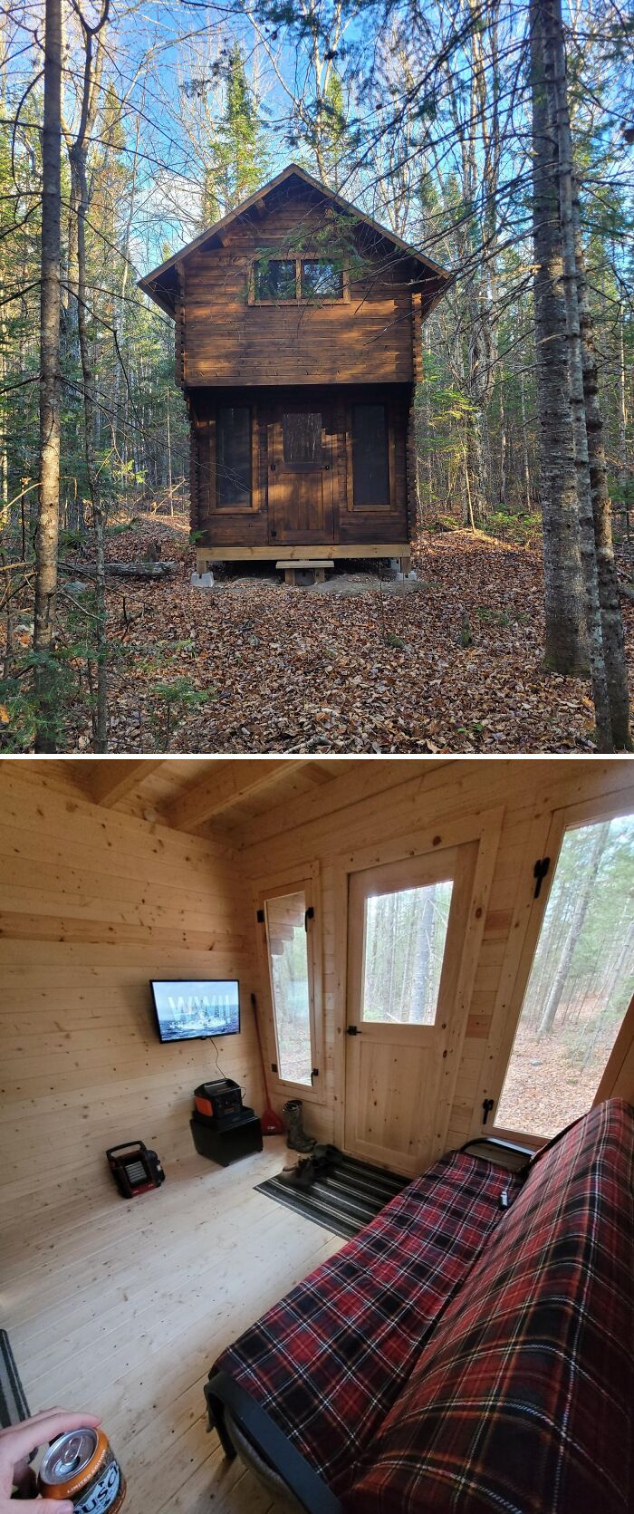 Cozy off-grid cabin in the woods with wooden interior, plaid couch, and forest views through large windows and door.