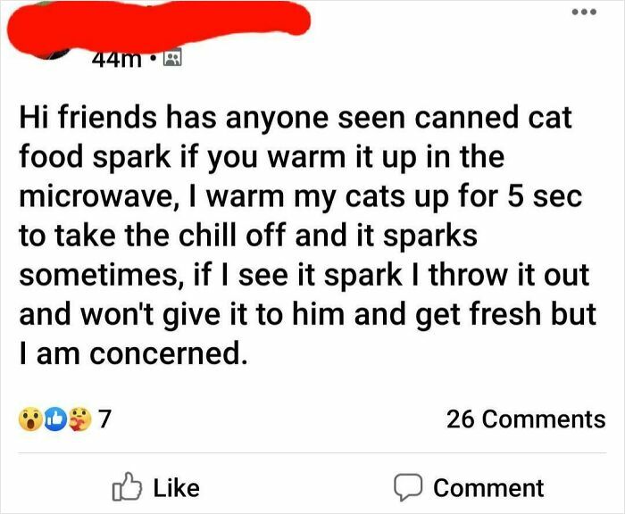 Social media post showing a person confused about canned cat food sparking in the microwave, highlighting zero common sense.