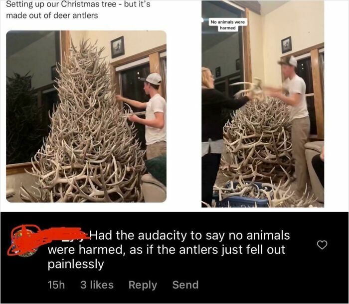 Man setting up a Christmas tree made from deer antlers, showing zero common sense in unusual holiday decor.