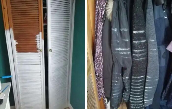 Closet doors with mismatched slats missing on one side next to coats scratched by a cat inside a wardrobe.