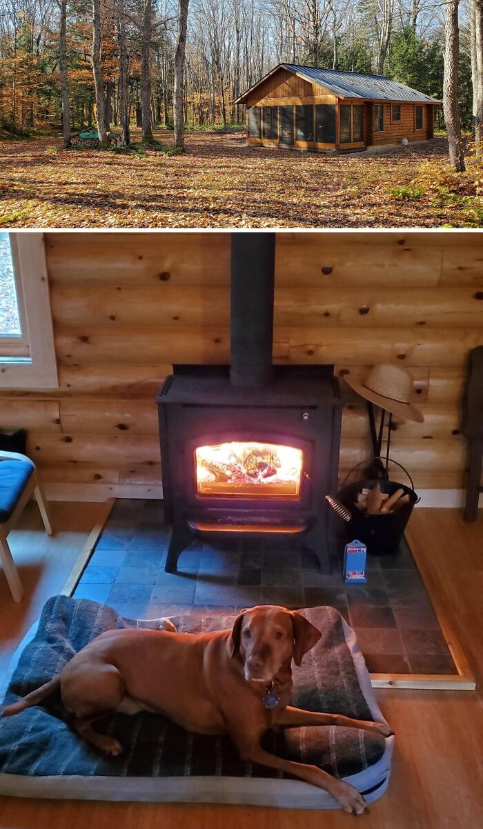 Cozy off-grid cabin in autumn woods with a wood-burning stove and a dog resting on a bed inside the cabin.