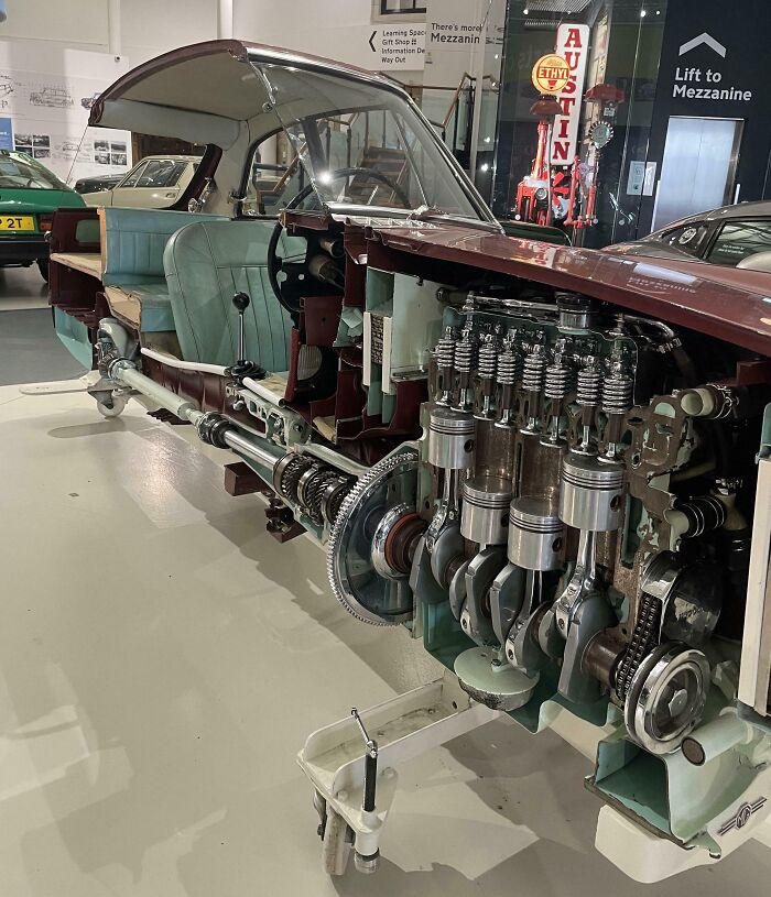 Cross-section of a vintage car showing the detailed insides and mechanical components of the engine and interior structure.
