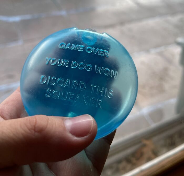 Blue plastic dog toy squeaker held in hand, revealing the inside of the object with embossed text visible.
