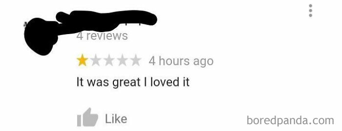 Funny and ridiculous 1-star review saying it was great and loved it, showcasing humorous customer feedback.
