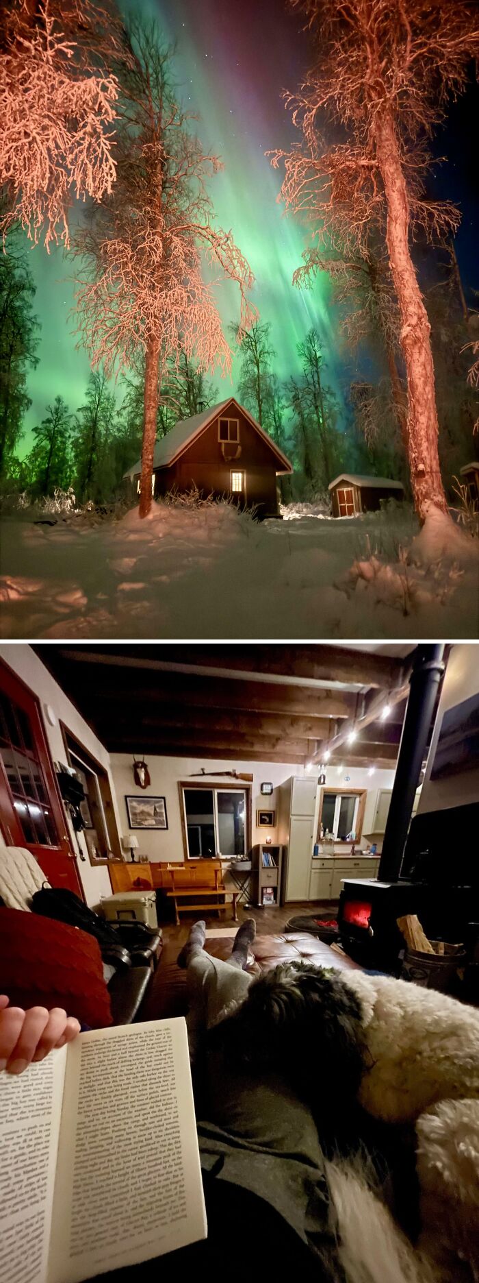 Cozy off-grid cabin in snowy forest under northern lights and warm rustic interior with fireplace and dog resting peacefully.