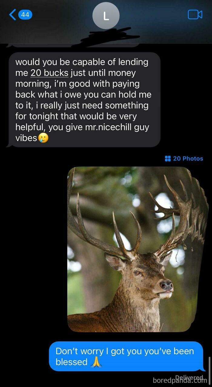 Text message exchange with a photo of a deer, showing delusional and crazy behavior called out online.