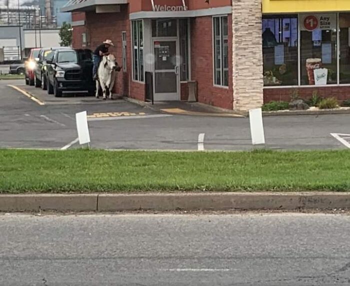 Man riding a horse through a fast food drive-thru, showing a surprising example of zero common sense in everyday situations.
