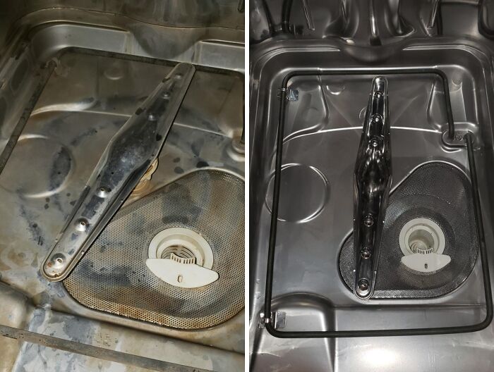 Before and after cleaning a dishwasher interior using products that help secure full security deposit refunds from landlords.
