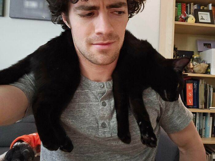Man wearing gray shirt with an adorable black kitty draped over his shoulders inside a cozy home setting.