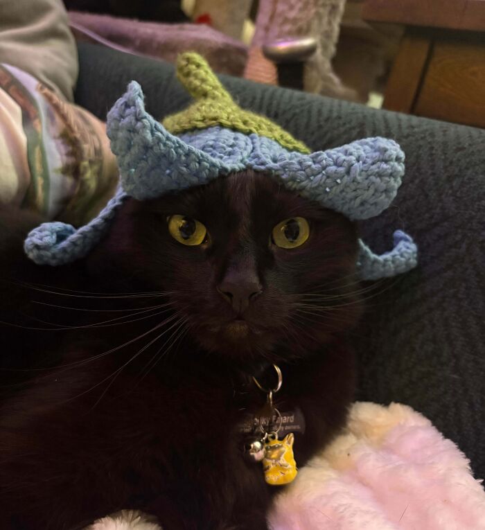 Black kitty with yellow eyes wearing a blue and green crocheted hat resting on a cozy blanket indoors.