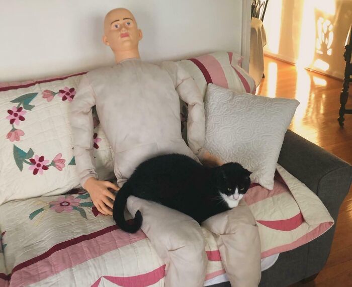 Black kitty resting comfortably on a doll seated on a floral quilted couch with pillows in a cozy living room.