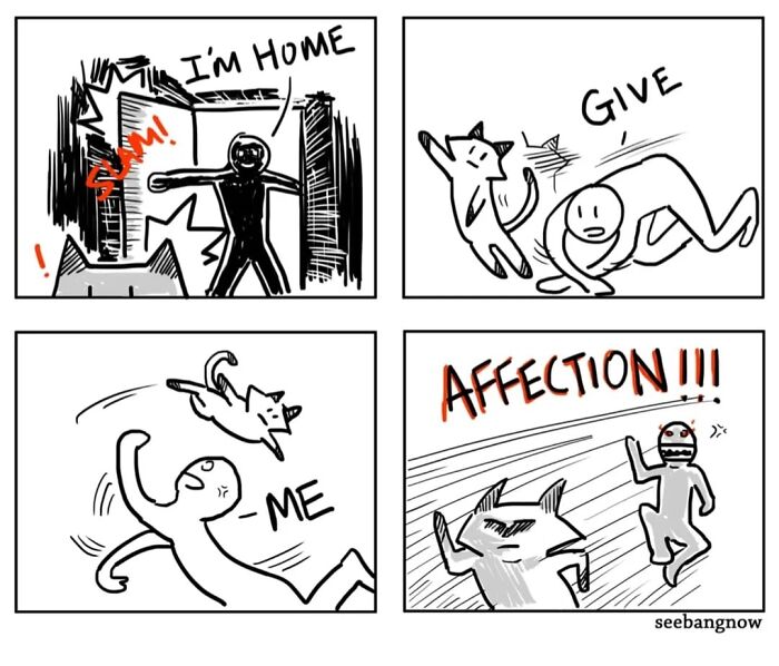 Comic panels showing a cat being honest and dramatic while giving and receiving affection in a humorous, unbothered style.