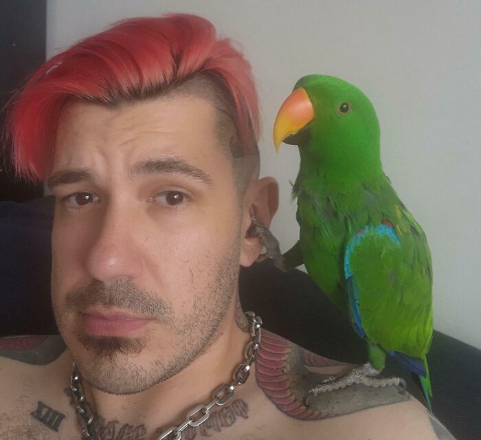 Man with pink hair and a green parrot on his shoulder, showing how pets affect personal space in new pics.