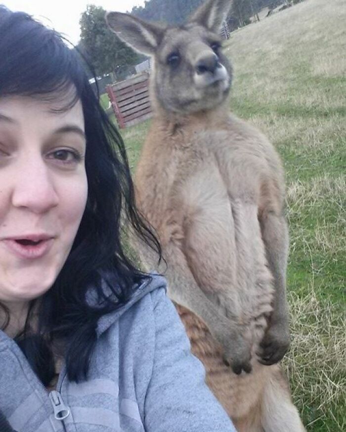 Woman and kangaroo in outdoor setting capturing a fun selfie showcasing animals who can take better selfies than humans.