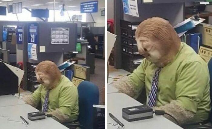 DMV employee dressed as a sloth humorously captures the relatable lives of students and young adults in a work setting.