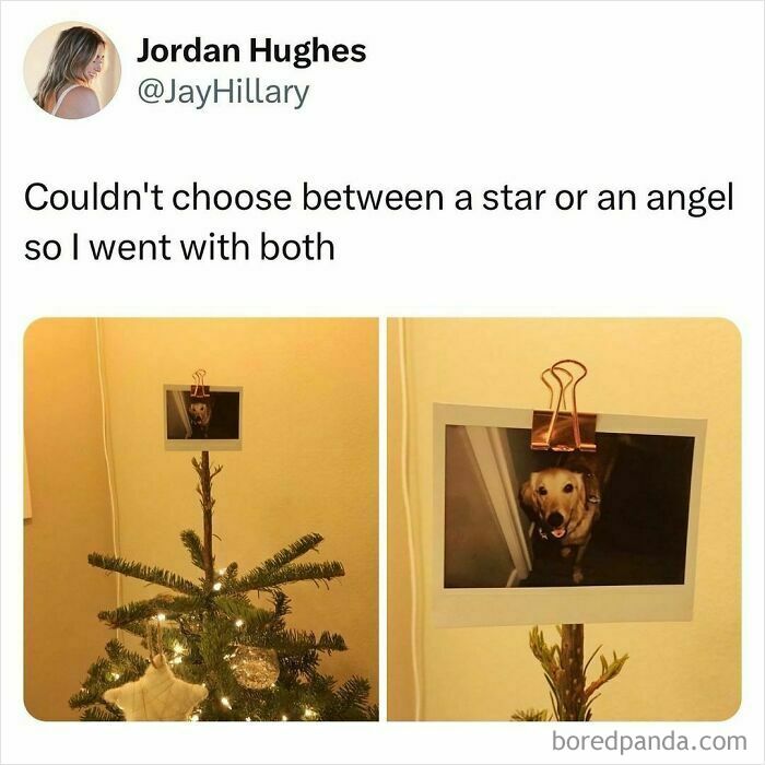 Relatable meme showing a student’s creative holiday tree topper blending star and angel with a dog photo.