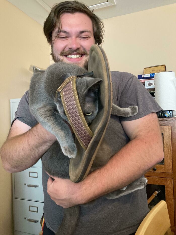 Man holding a gray cat stuck inside a large sandal, showcasing one of the many animals stuck moments that amaze owners.