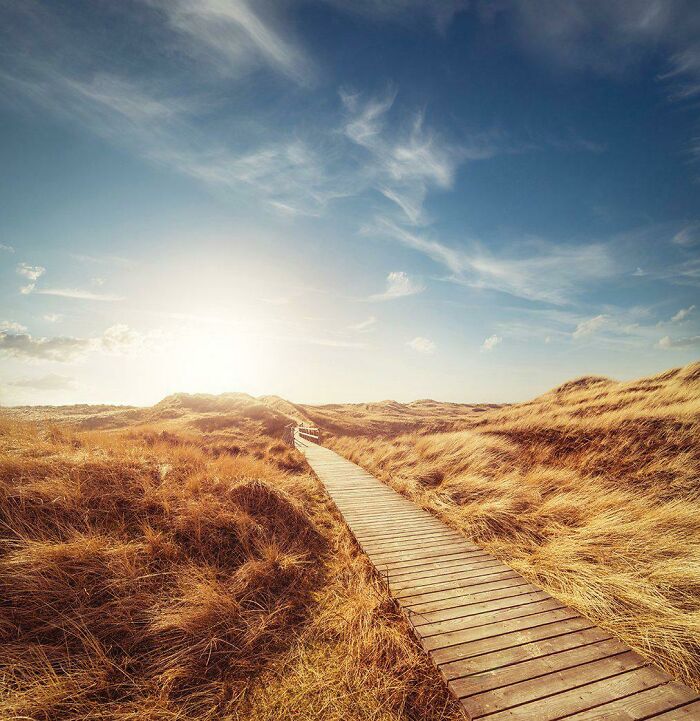 Sunset over a wooden boardwalk path through golden grassy dunes captured for where was this taken posts online.
