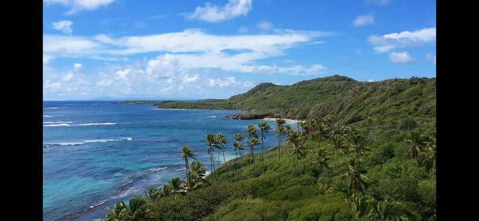Tropical coastline with palm trees and clear blue water, a stunning spot for where was this taken posts online.