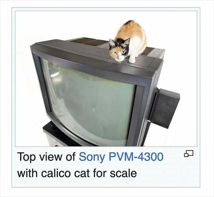 Top view of Sony PVM-4300 vintage TV with a calico cat on top, a funny Wikipedia page image shared online.