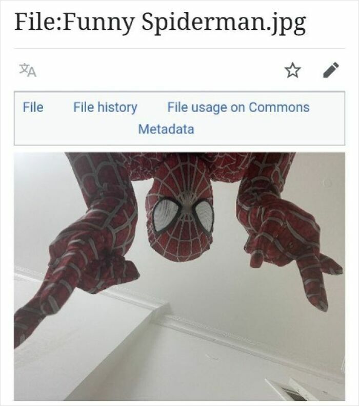Screenshot of a Wikipedia image file page showing a humorous Spiderman photo in a Wikipedia layout.