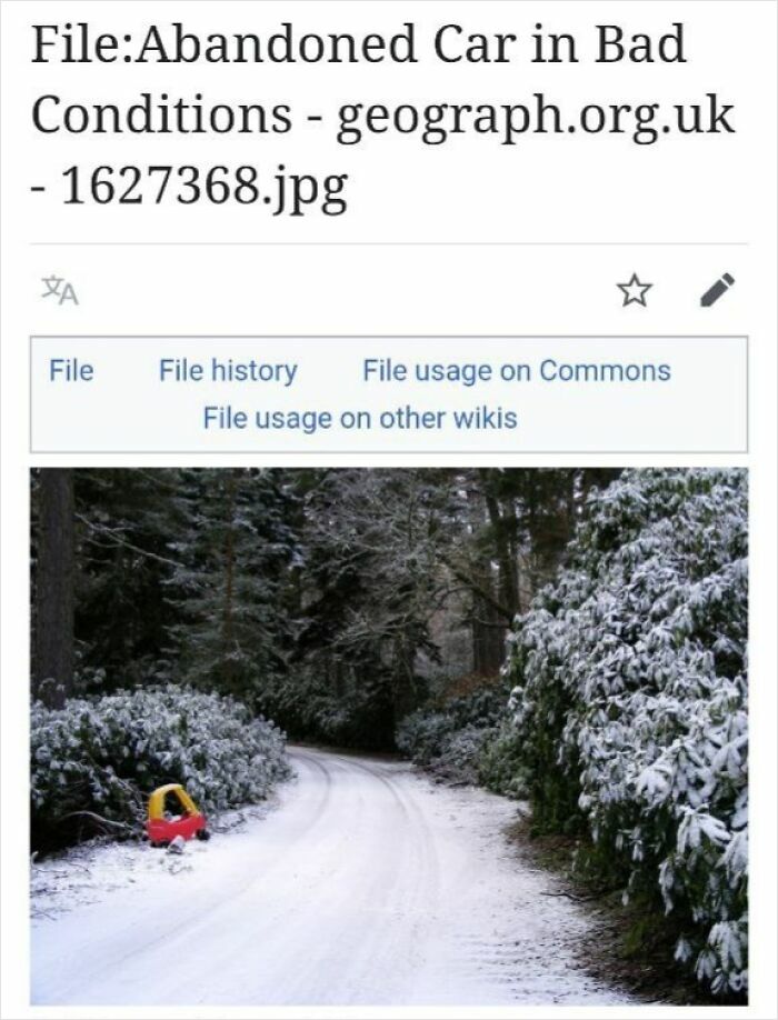 Small toy car left abandoned on a snowy forest path, an example of funny Wikipedia pages that c*****d people up online.