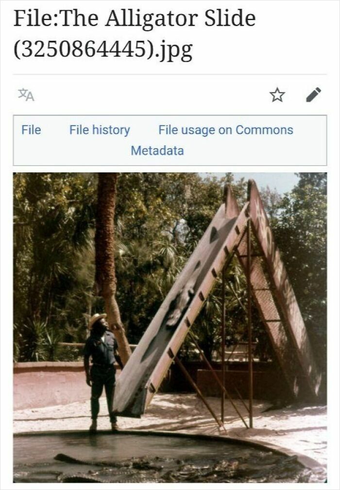 An old photo of the alligator slide in a park with a person standing nearby, a humorous Wikipedia page image.